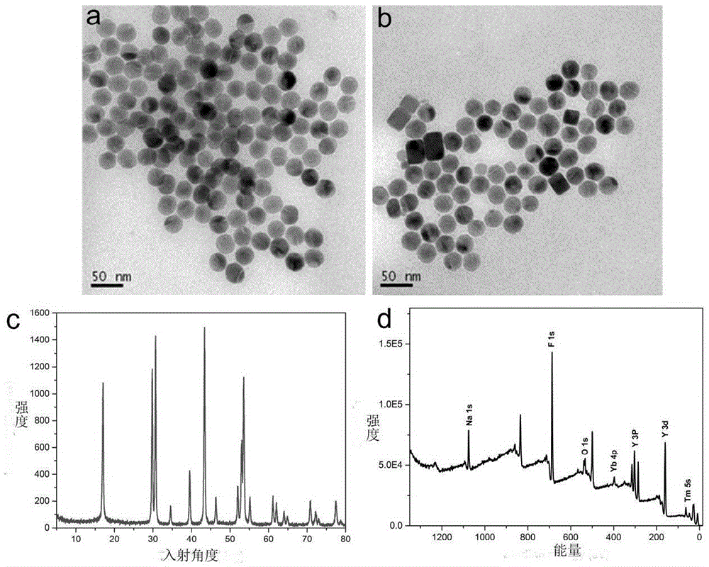 Organophosphorus pesticide molecular probe, preparation and application method thereof and inorganic/organic composite rare earth upconversion nano material