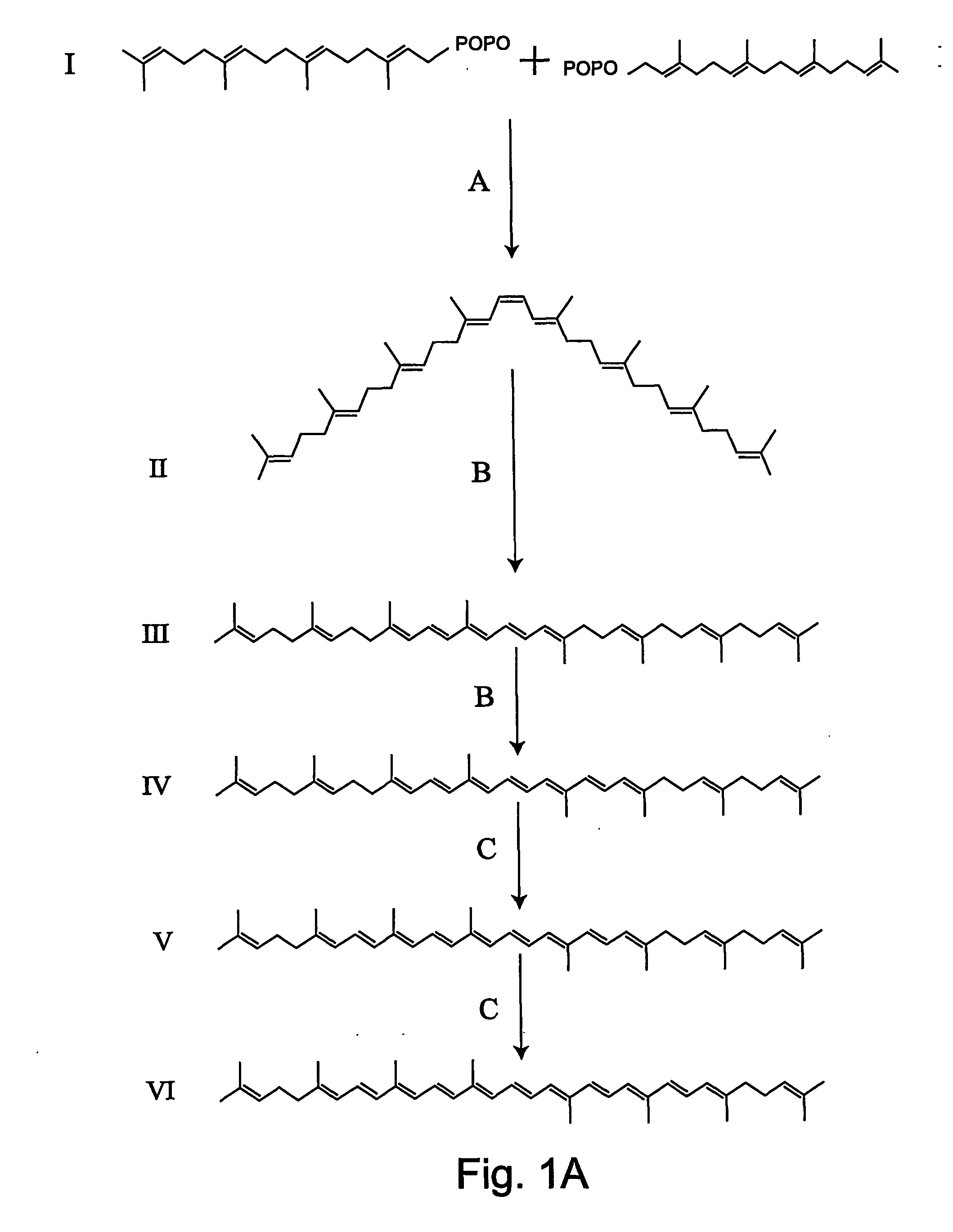 Transgenic pineapple plants with modified carotenoid levels and methods of their production