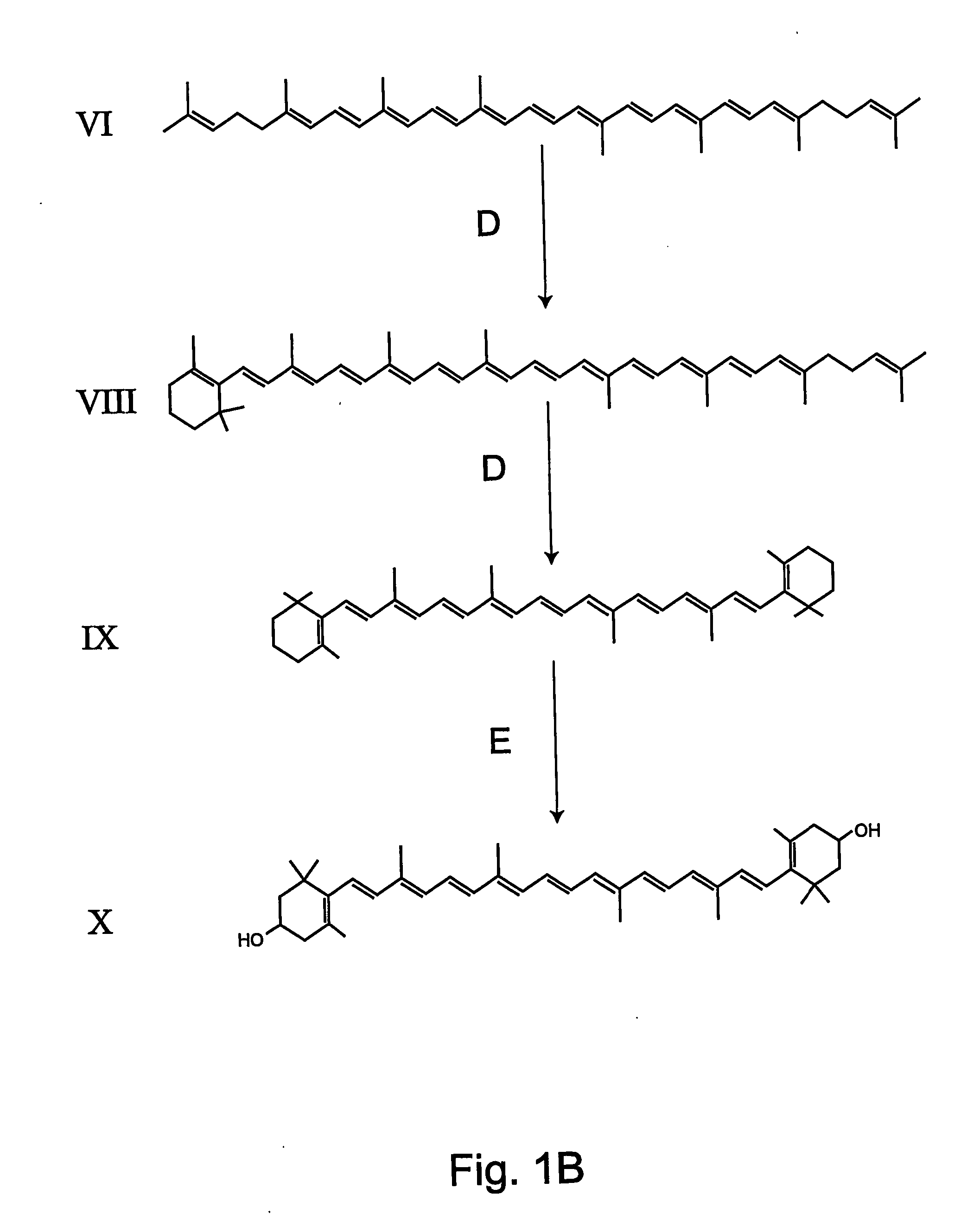 Transgenic pineapple plants with modified carotenoid levels and methods of their production