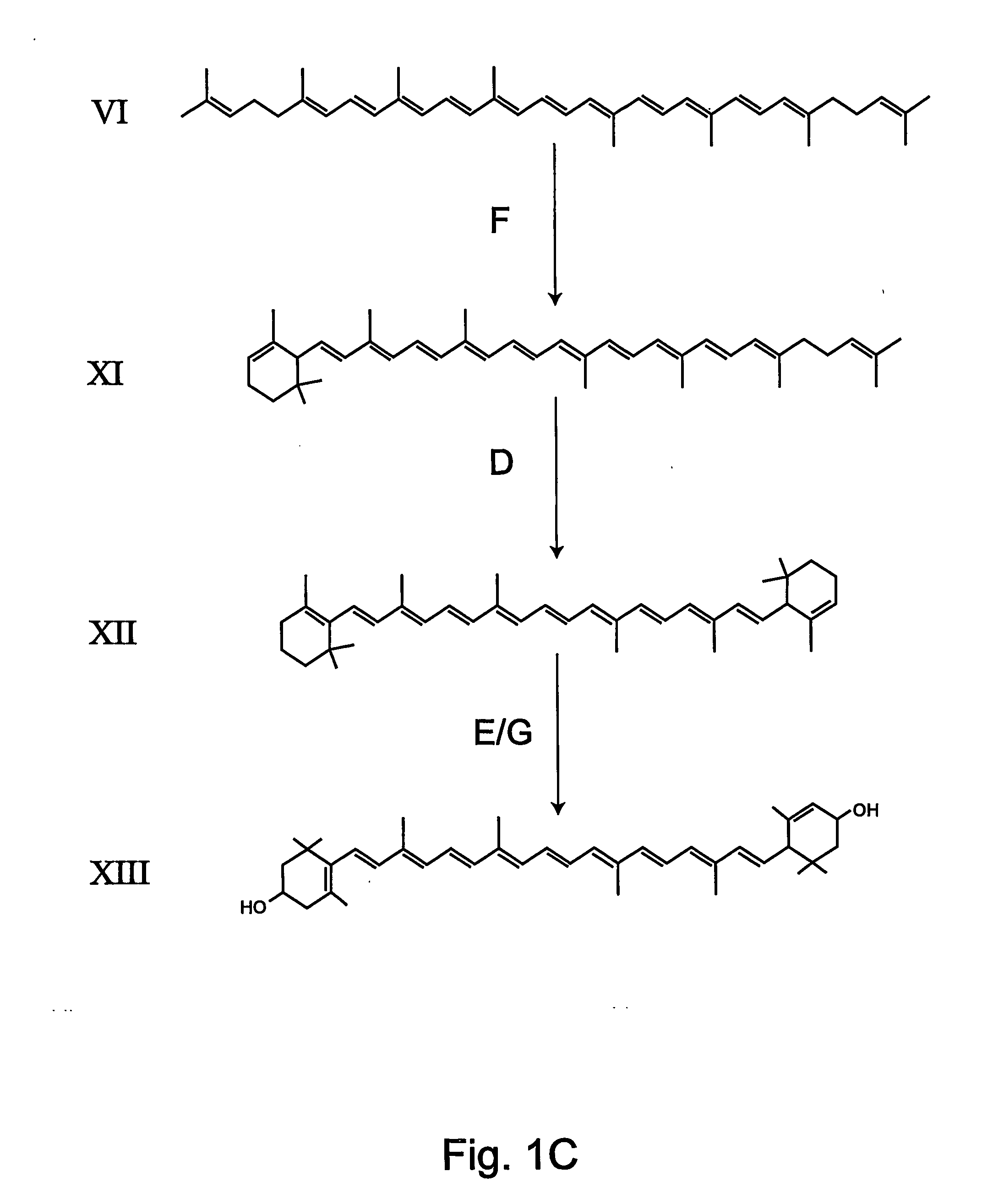 Transgenic pineapple plants with modified carotenoid levels and methods of their production