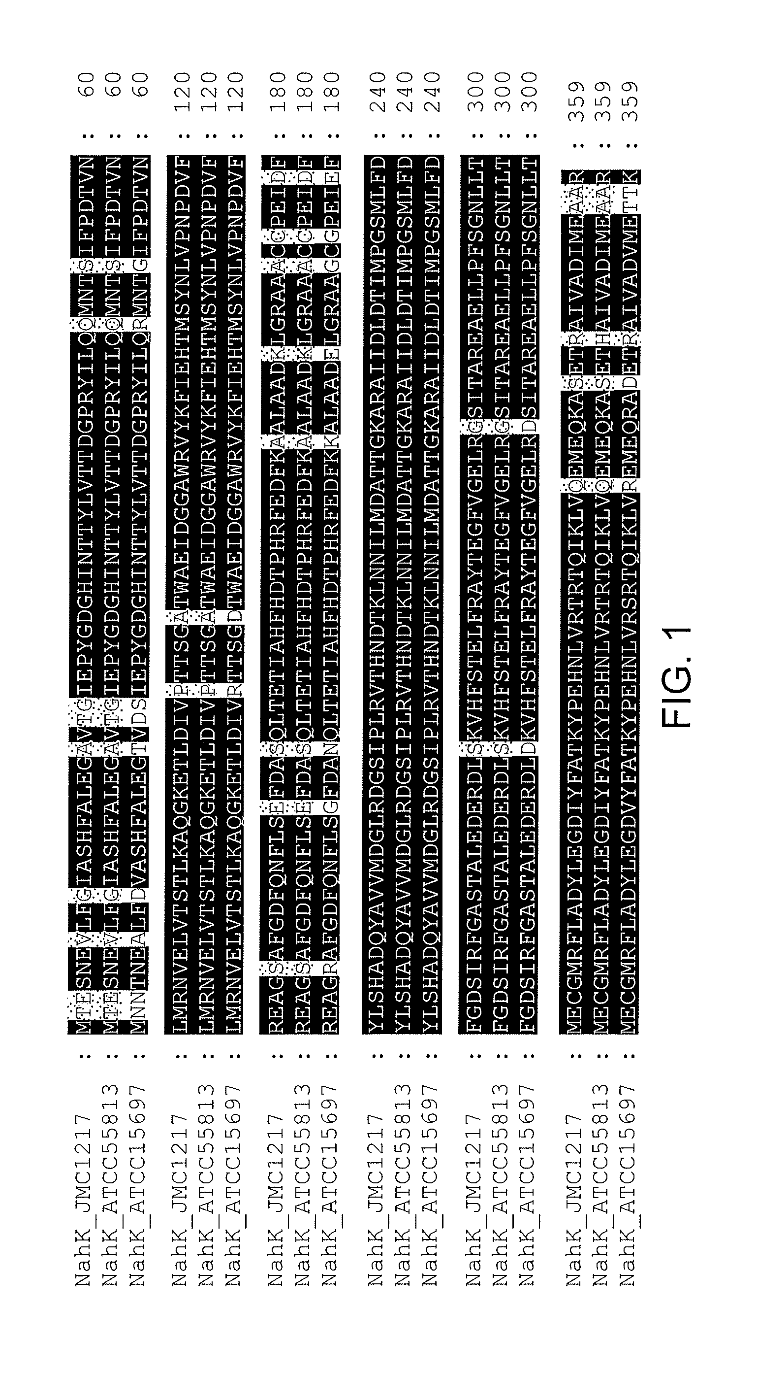 Chemoenzymatic synthesis of heparin and heparan sulfate analogs