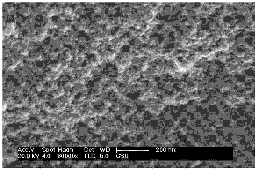 Ambient pressure drying method for rapidly preparing SiO2 aerogel