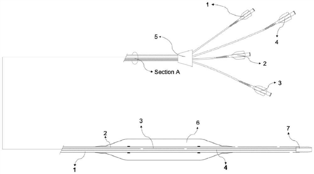 Multifunctional balloon dilatation catheter for in-vivo lung membrane oxygenation