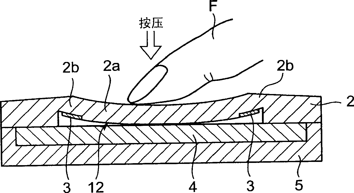 Input apparatus