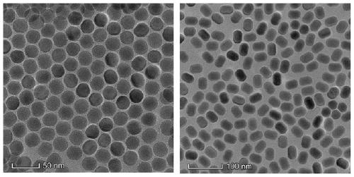 Preparation and application method of near-infrared response drug sustained release system based on up-conversion nanoparticle @ metal-organic frameworks