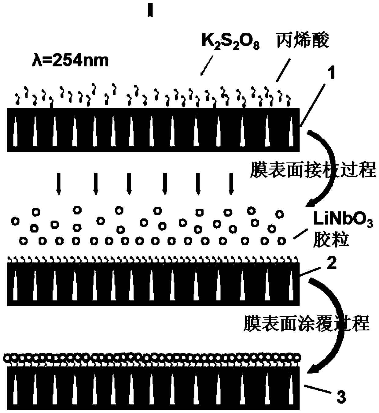 Nonlinear Photocatalytic Membrane for Total Nitrogen Treatment in Tailwater of Wastewater Treatment Plant and Its Application