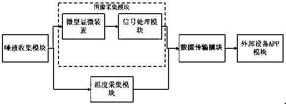 Quantitative detection ovulation device and detection method