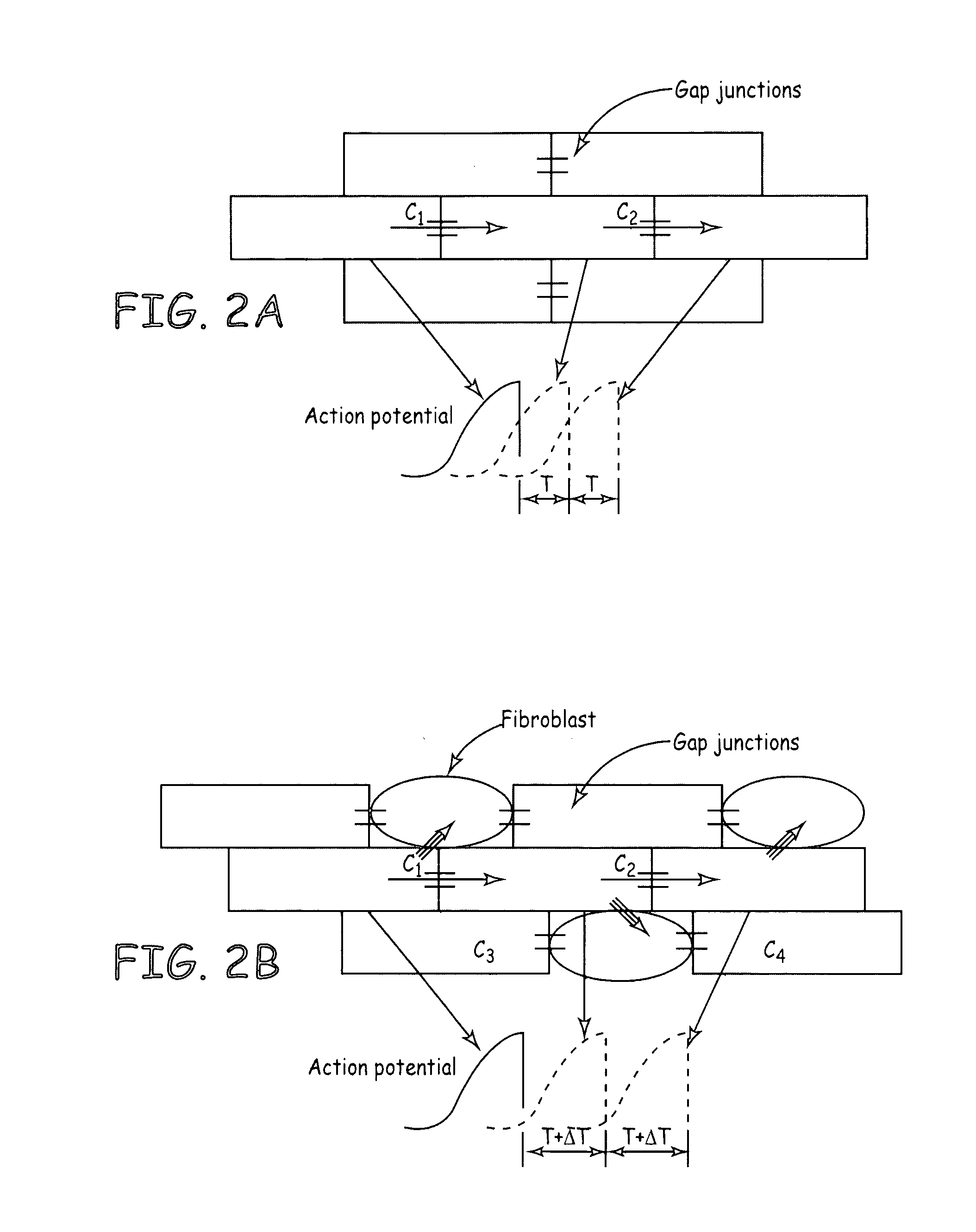 Rate control during AF using cellular intervention to modulate AV node