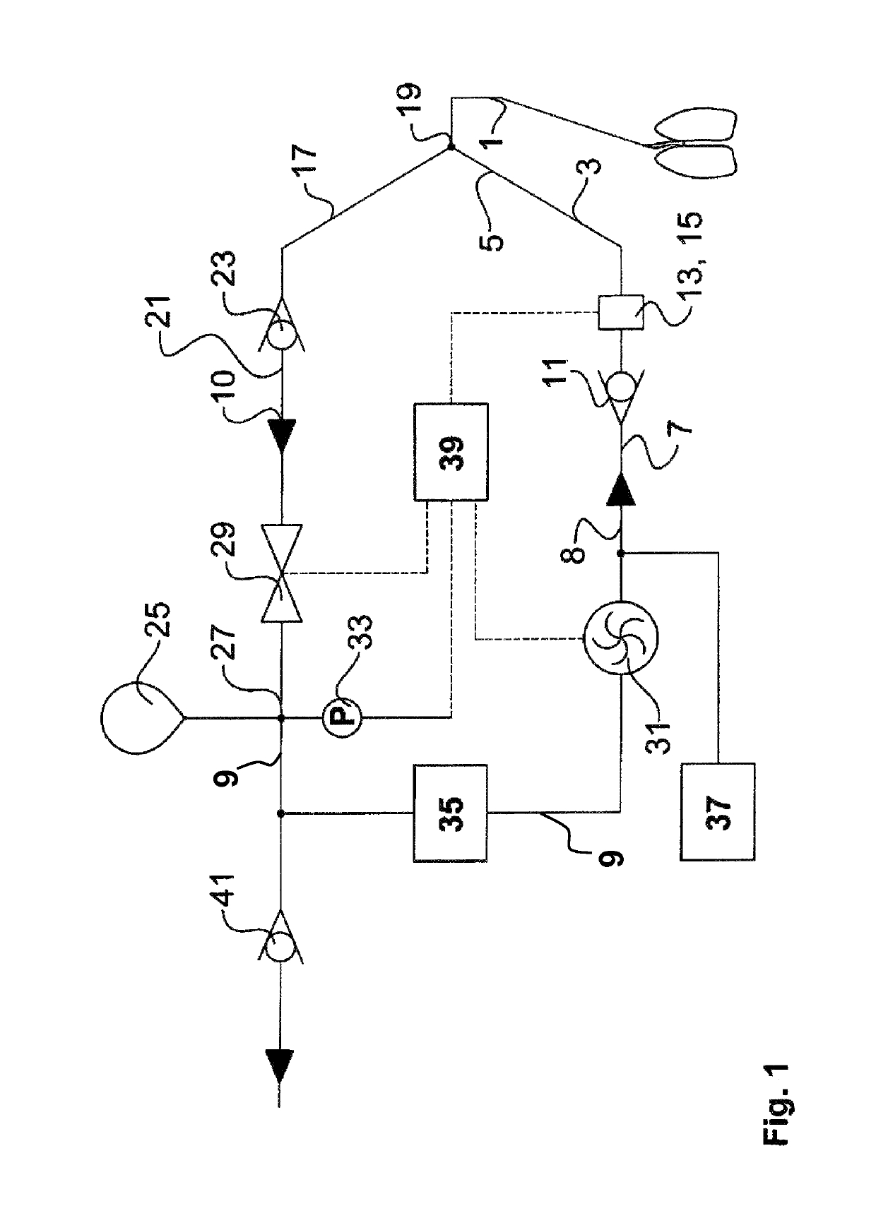 Process for checking the function of a respiration system