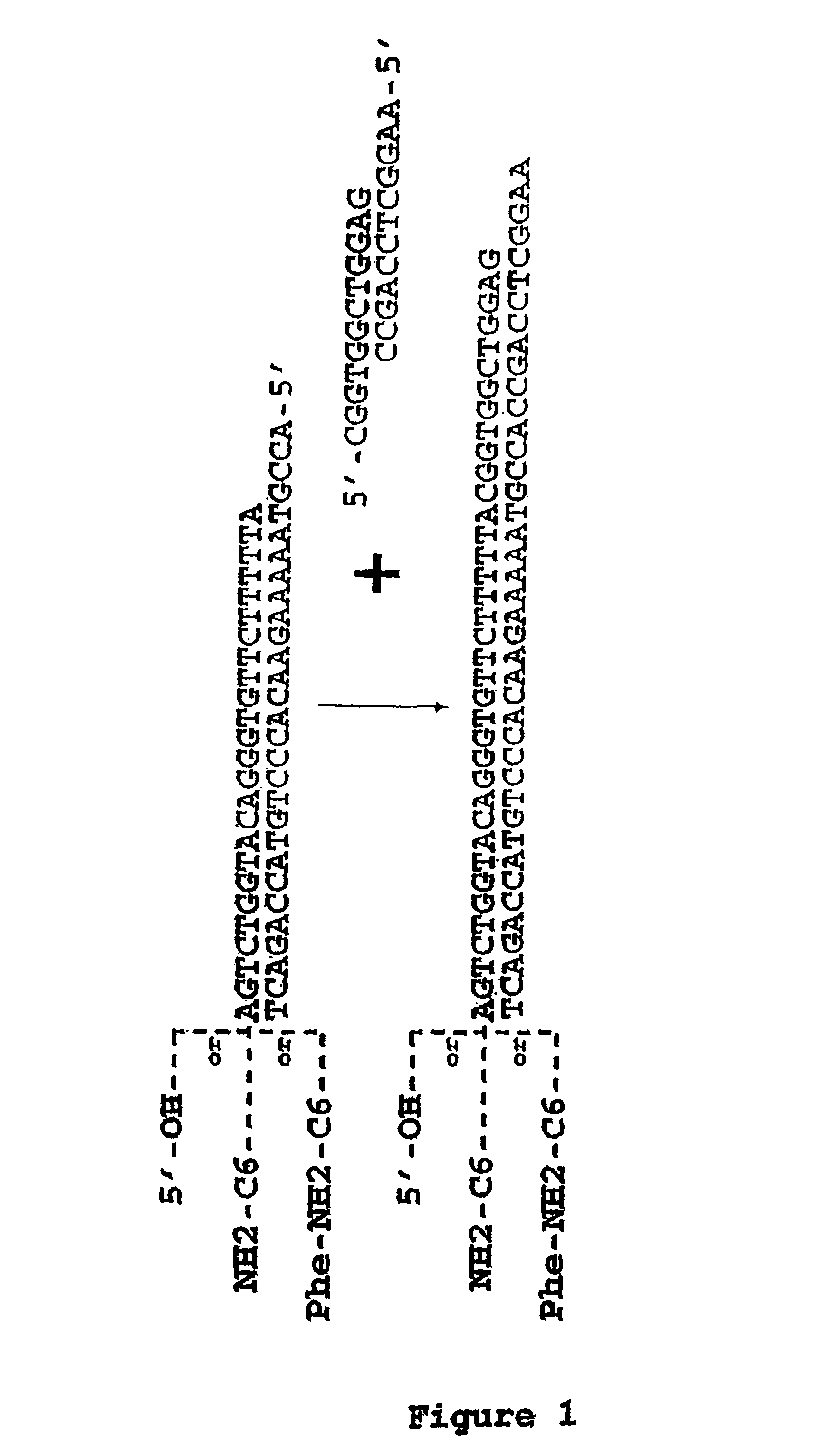 Methods for synthesis of encoded libraries