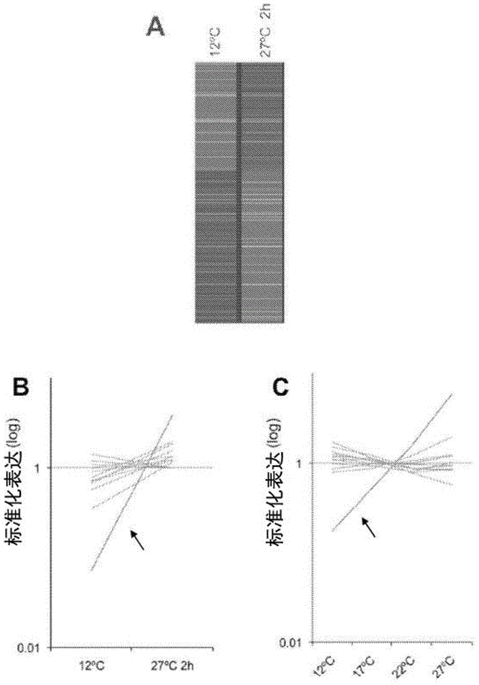 Methods and compositions for altering temperature perception in eukaryotic organisms