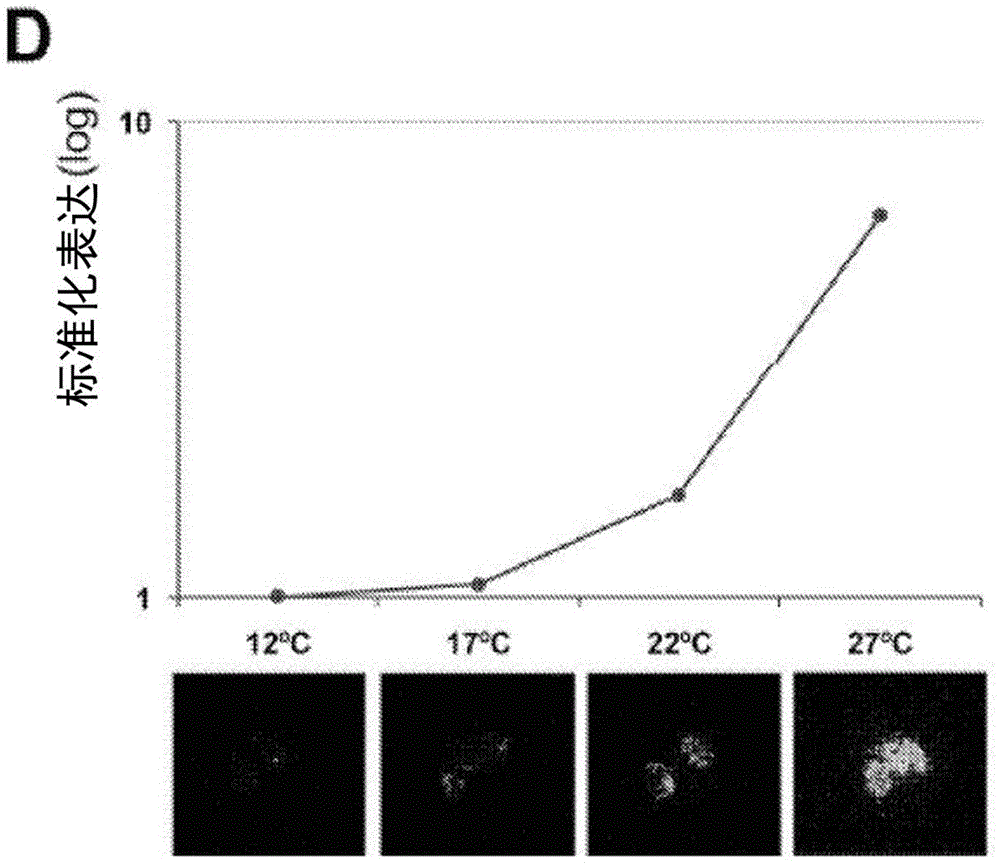 Methods and compositions for altering temperature perception in eukaryotic organisms