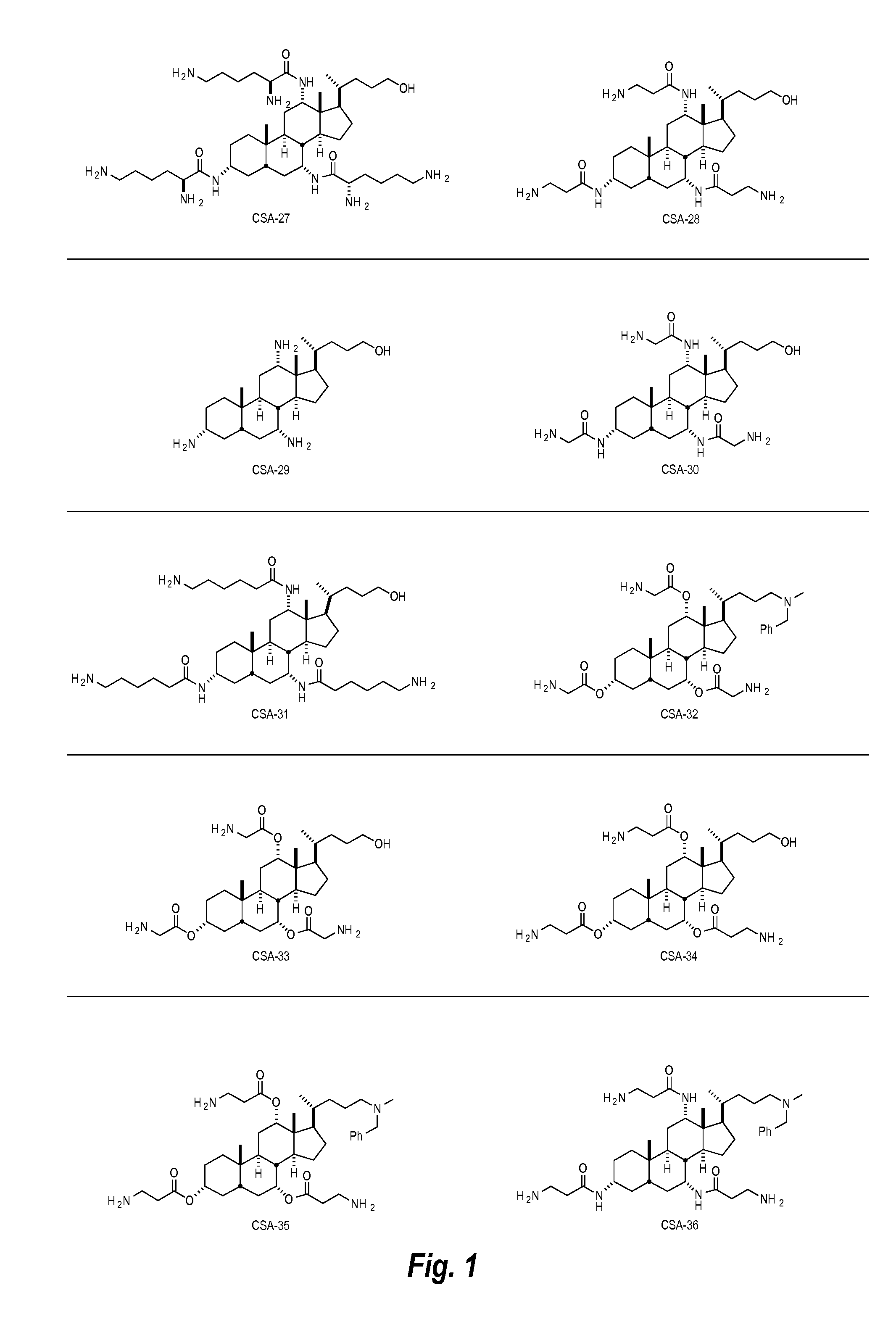 Articles incorporating absorbent polymer and ceragenin compound