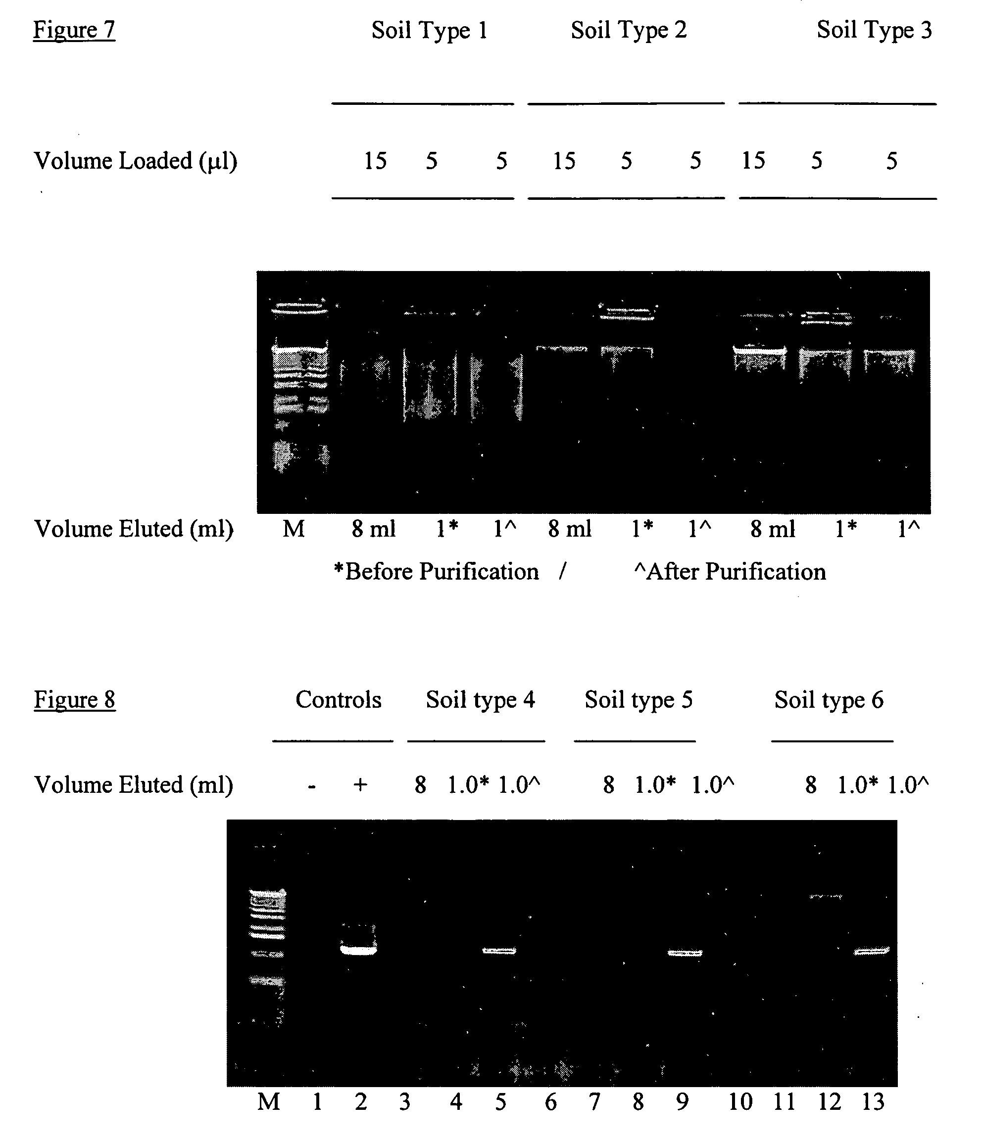 Kits and processes for removing contaminants from nucleic acids in environmental and biological samples