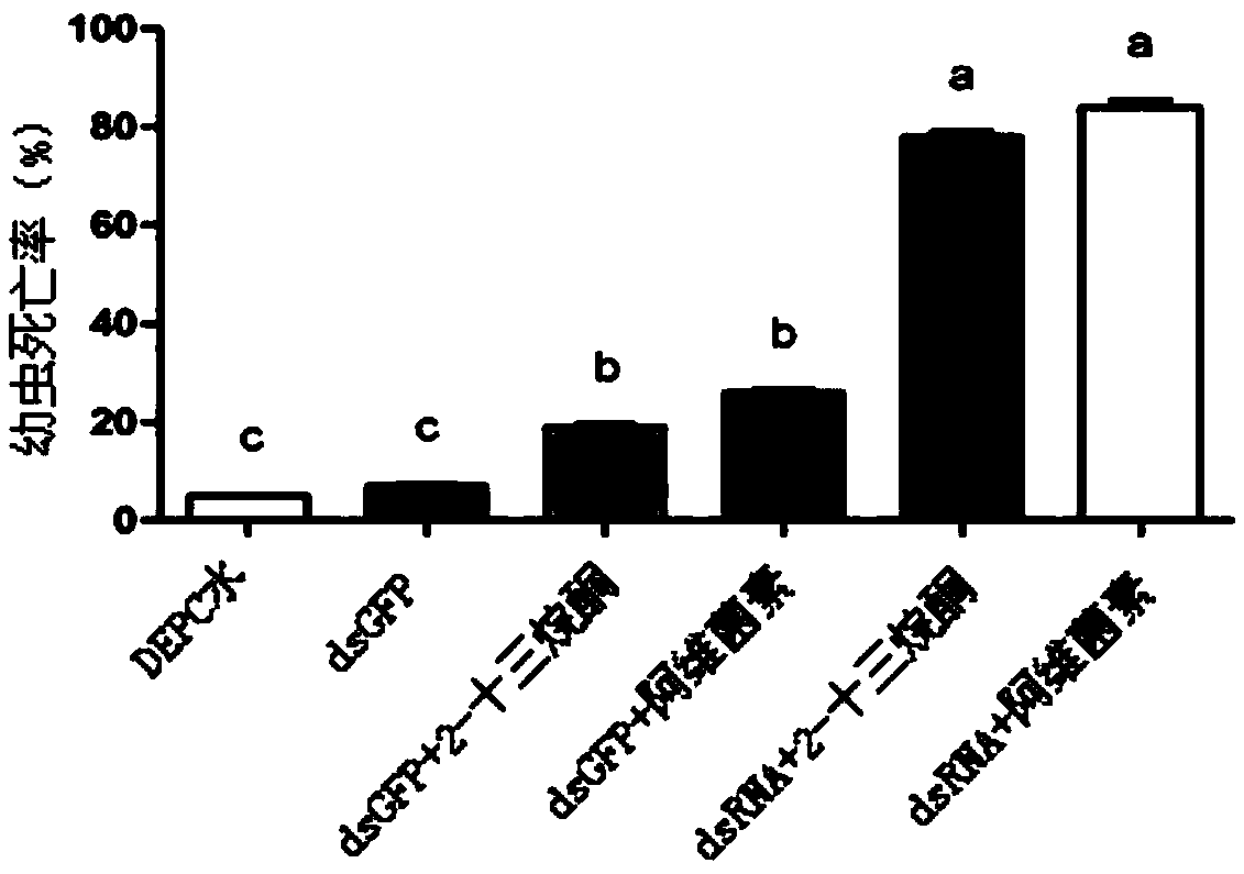 The p-glycoprotein gene of cotton bollworm and its application