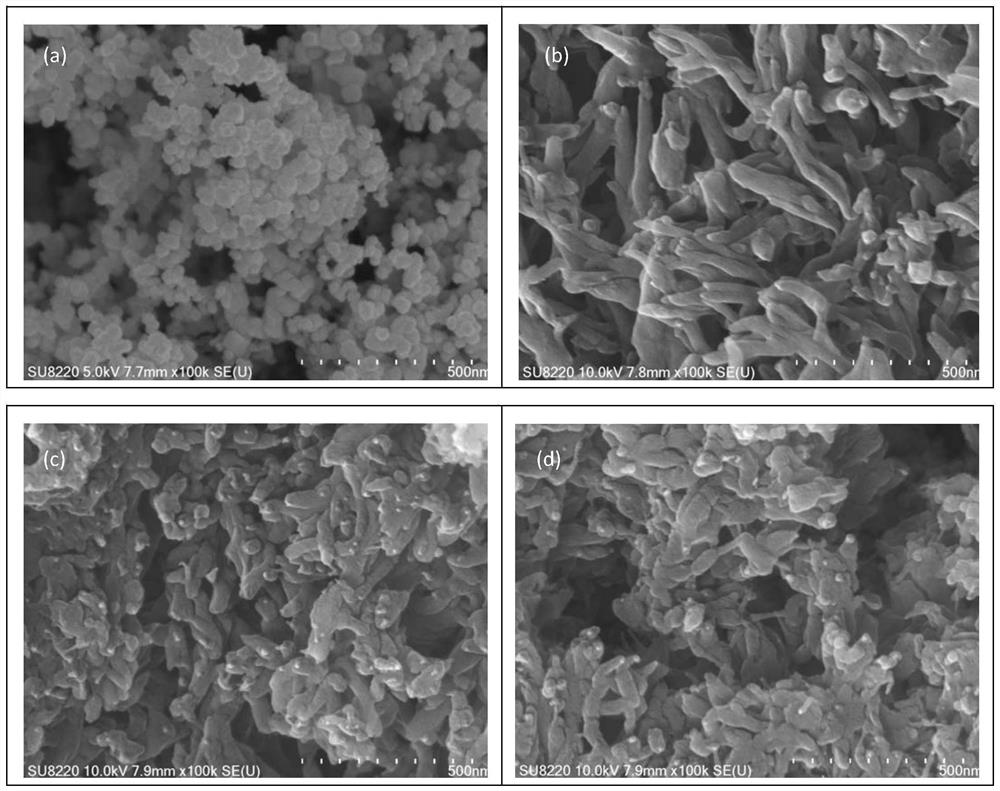 A kind of titanium nitride/polyaniline composite conductive anti-corrosion powder coating and preparation method thereof