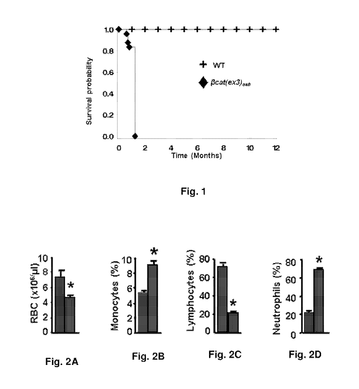 Methods of treating, preventing and diagnosing leukemia and other blood diseases and disorders