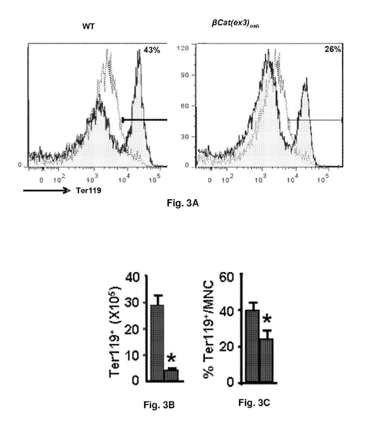 Methods of treating, preventing and diagnosing leukemia and other blood diseases and disorders