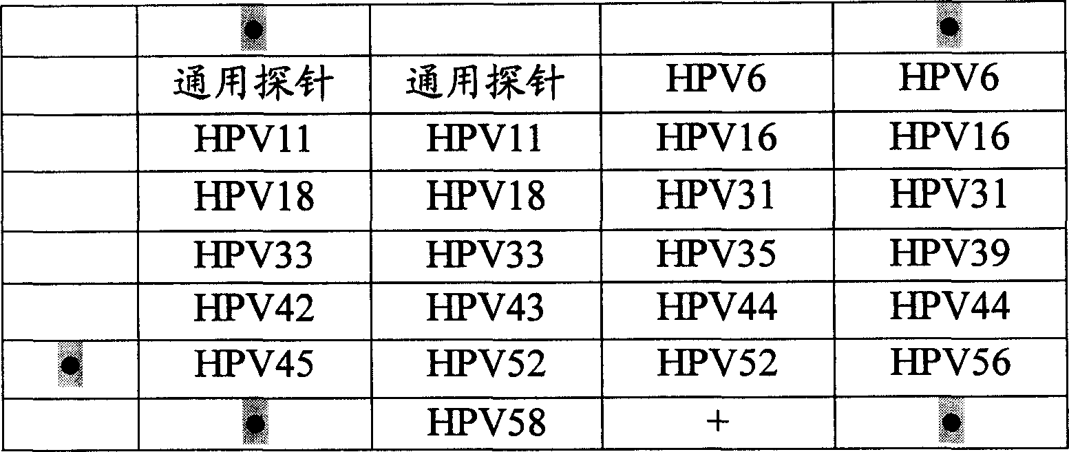 Diagnosis chip for testing subtype of human papilomavirus gene and preparation method and test method