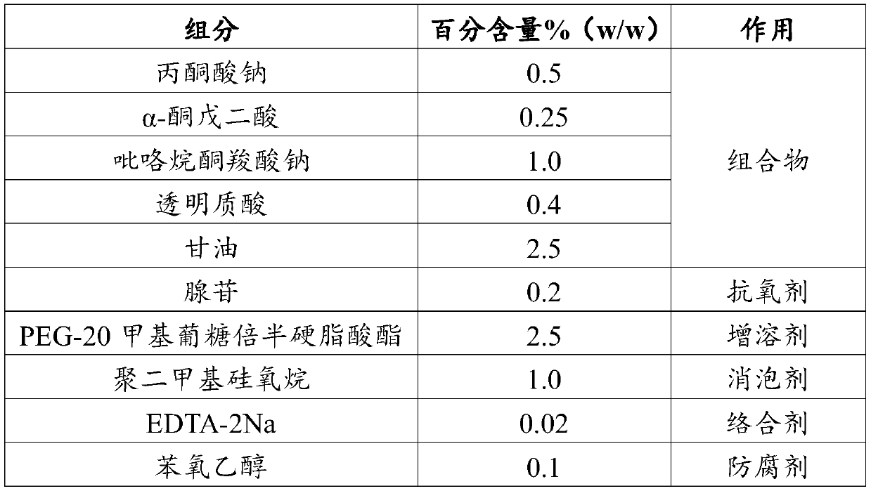 Skin care composition as well as preparation method and application thereof