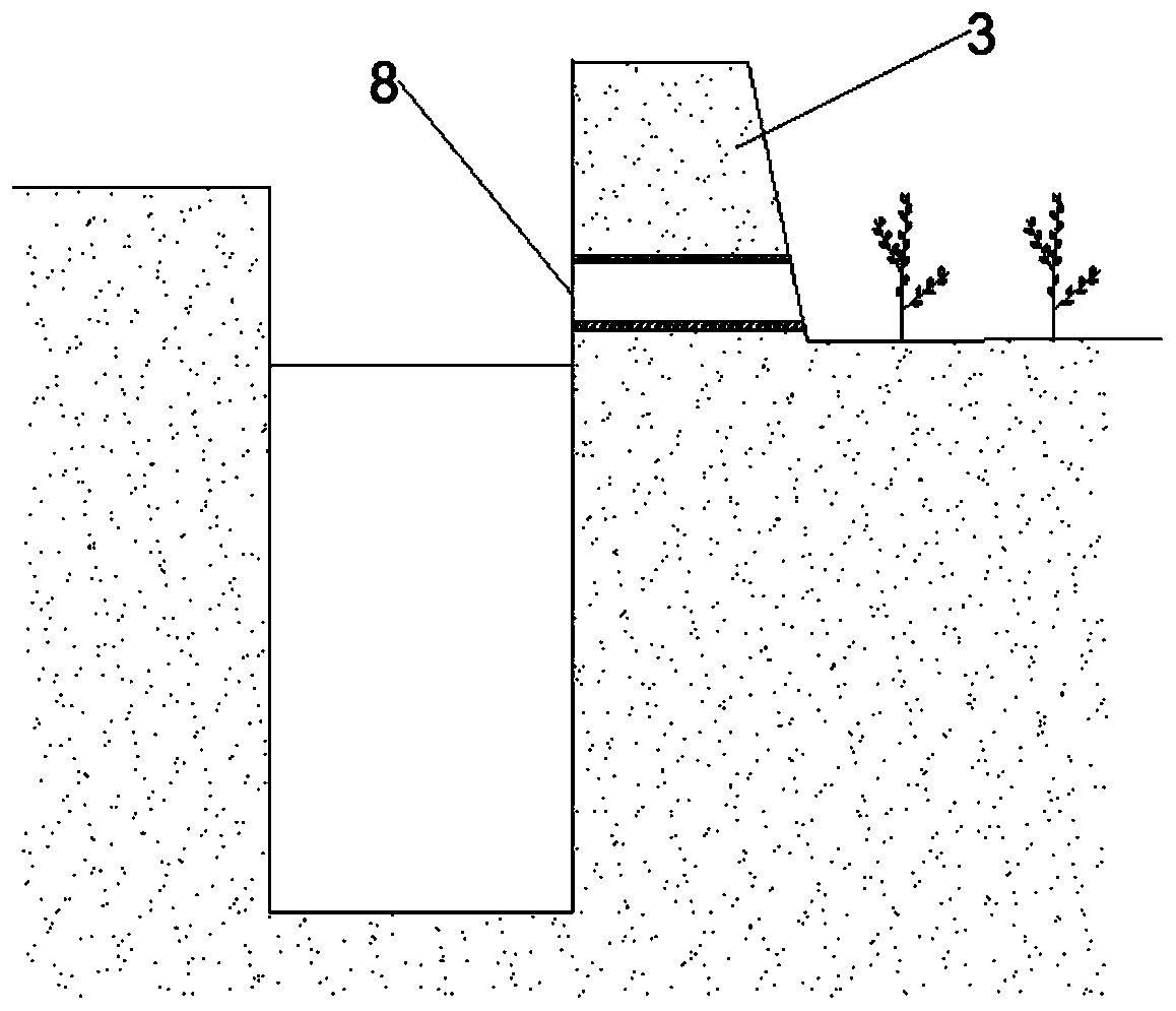 Ecological planting and cultivating unit for rice