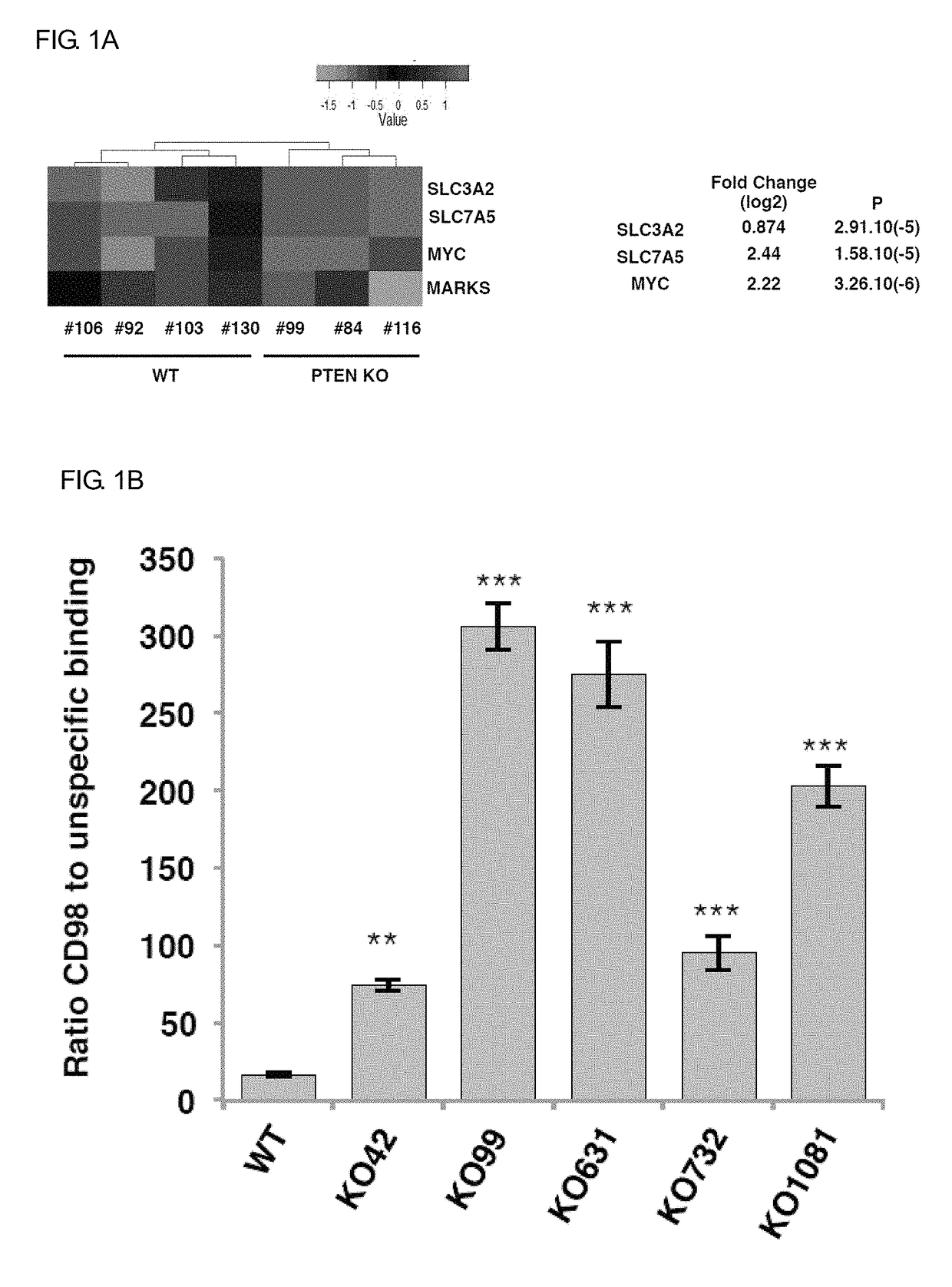 Anticancer agent composition