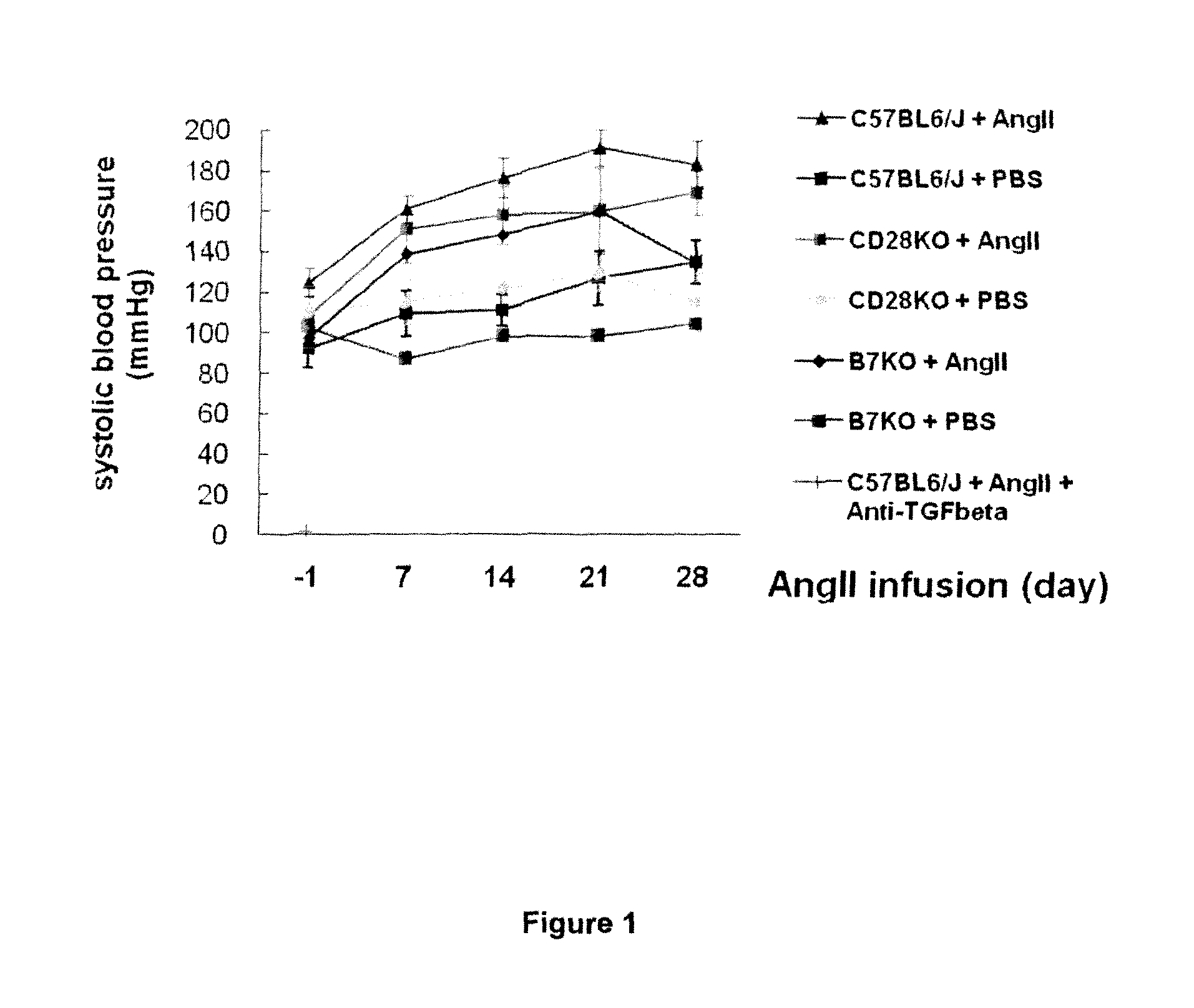 Methods for Producing a Non Human Model for Aortic Aneurysm