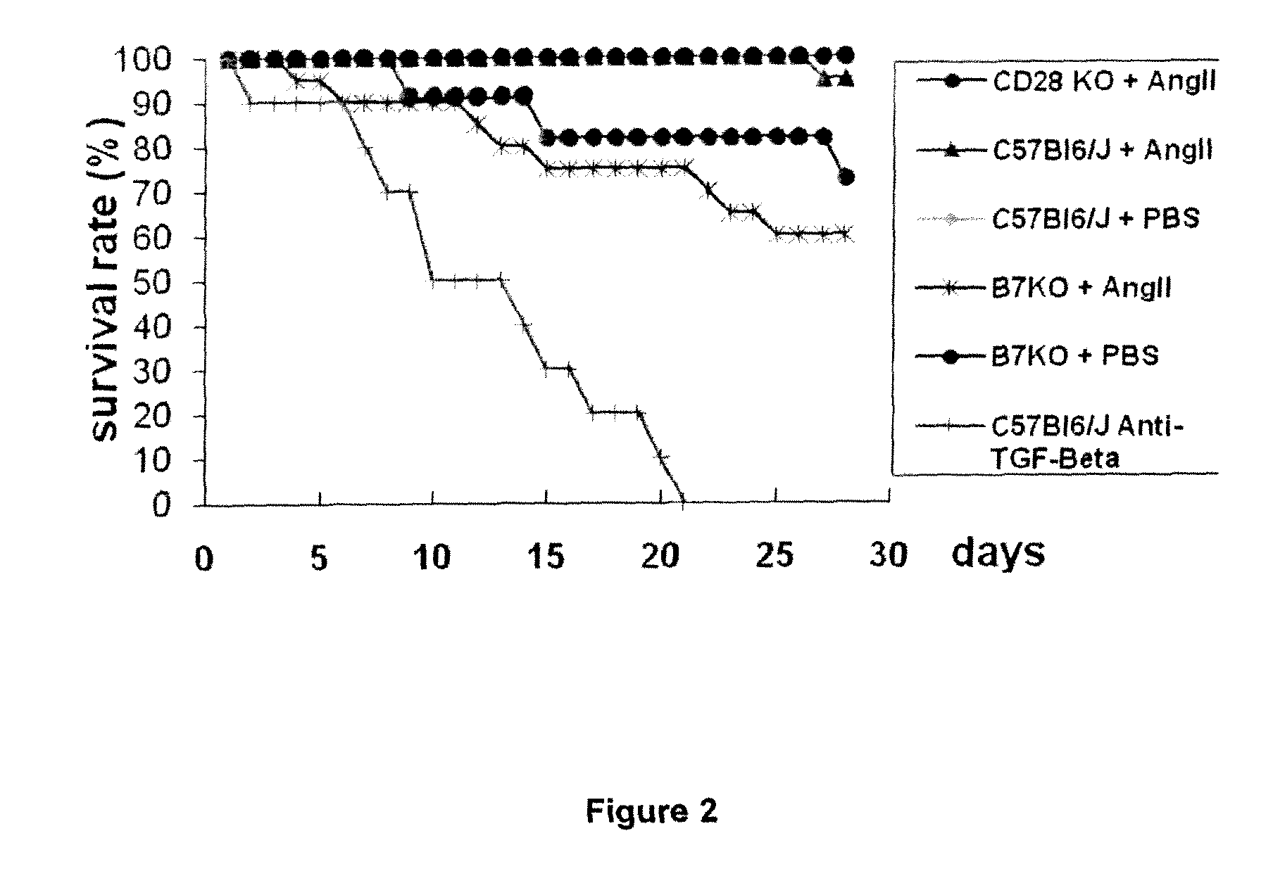 Methods for Producing a Non Human Model for Aortic Aneurysm