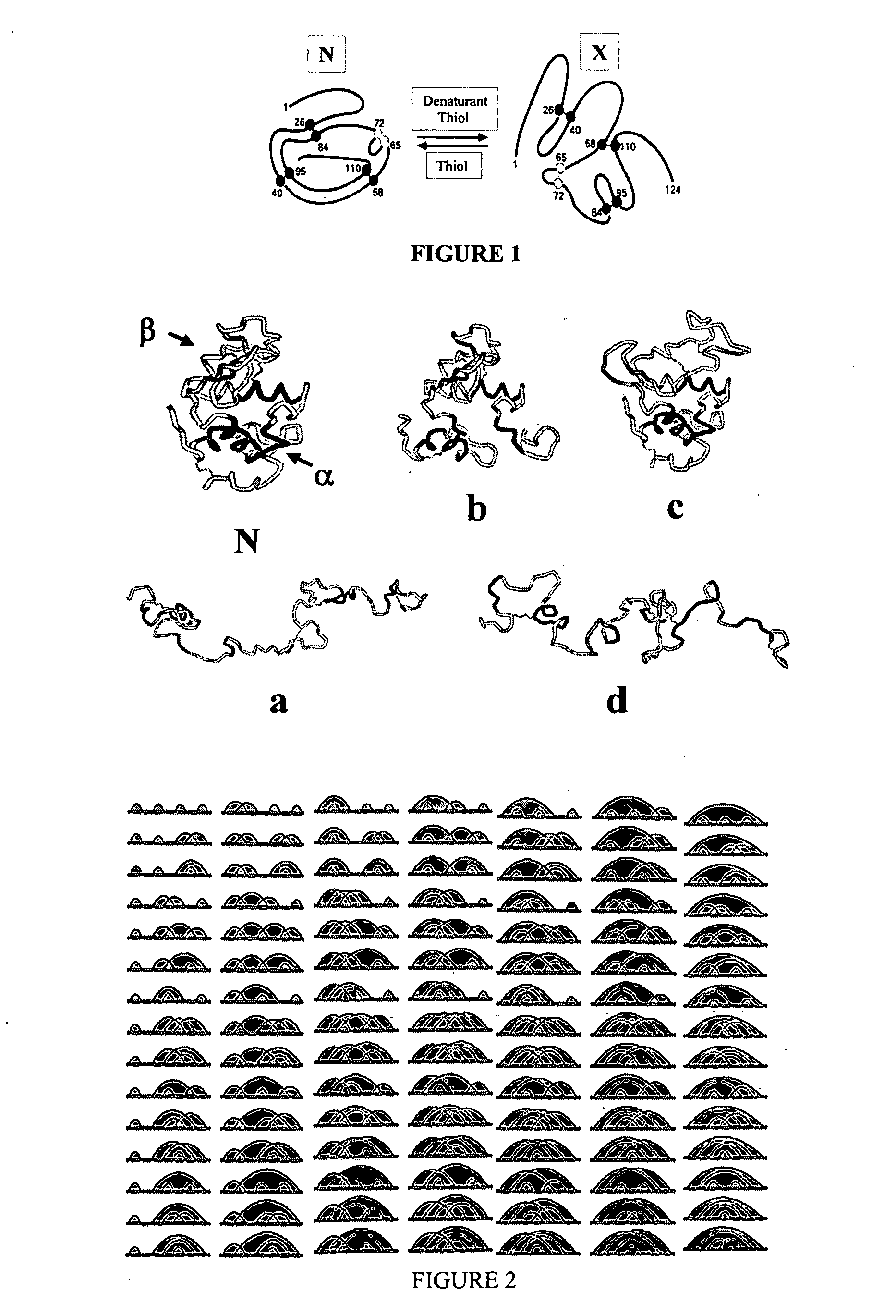 Production of stabilized conformational isomers of disease associated proteins