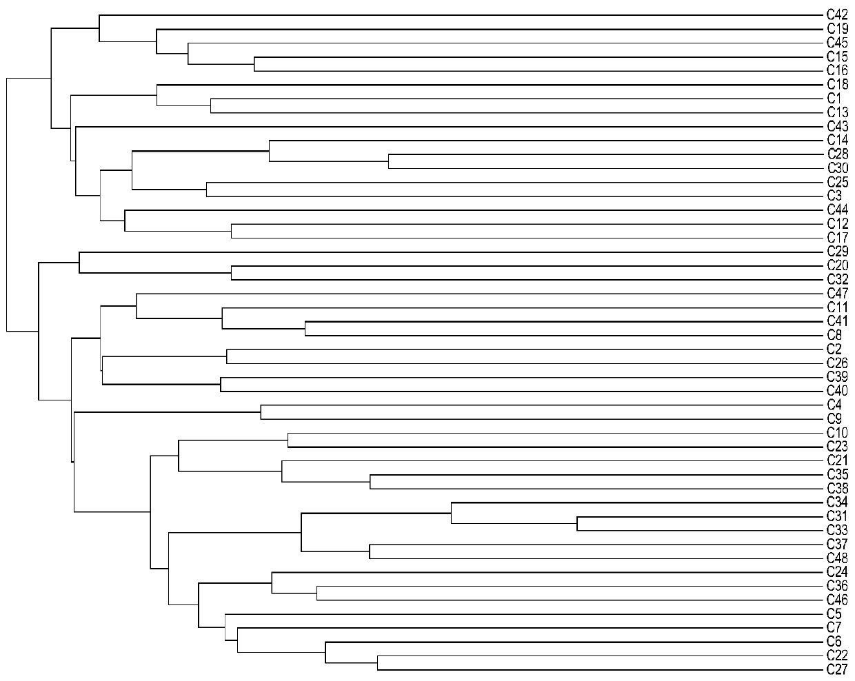 A kind of construction method of broad bean ssr fingerprint