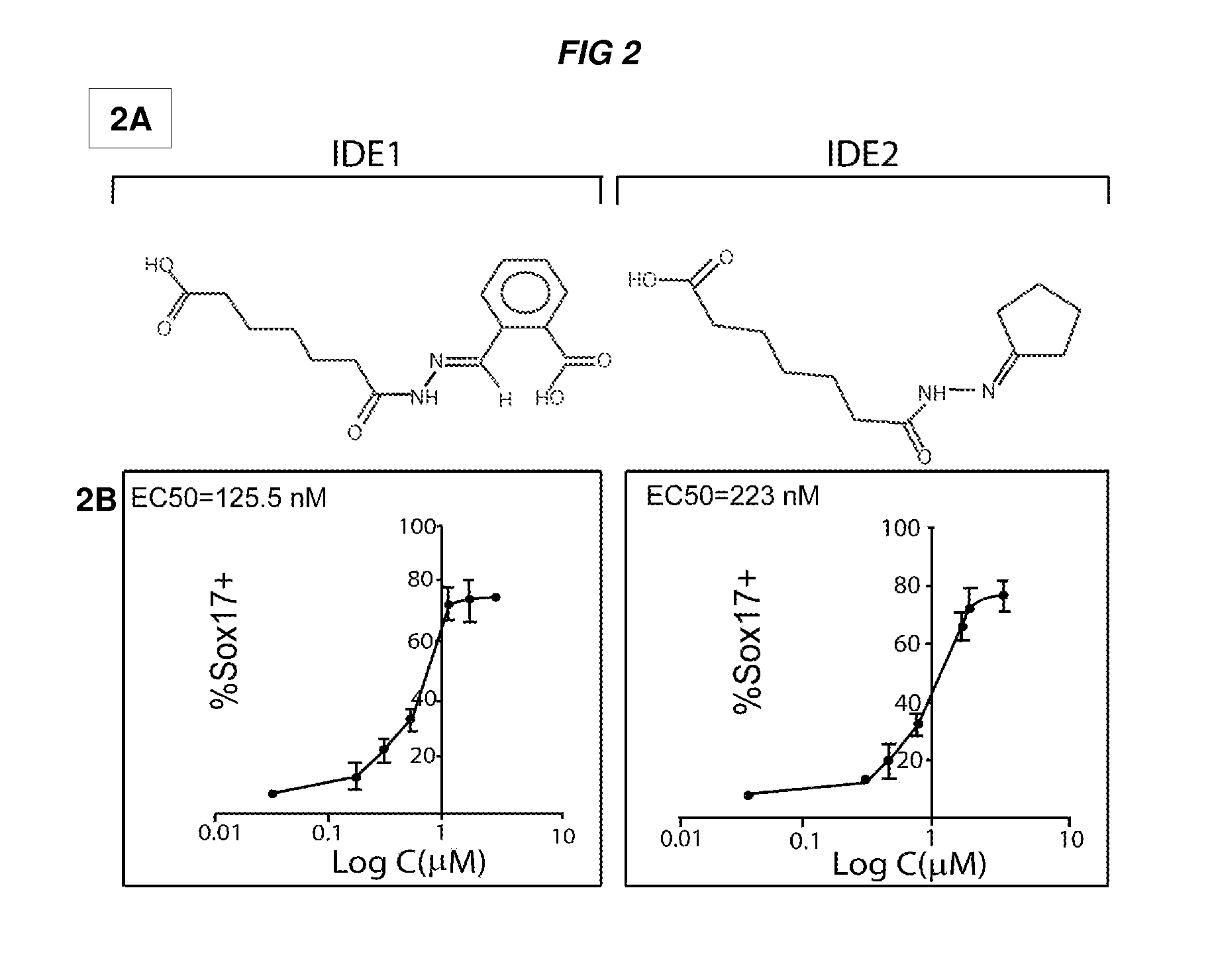 Compositions and methods for promoting the generation of definitive endoderm