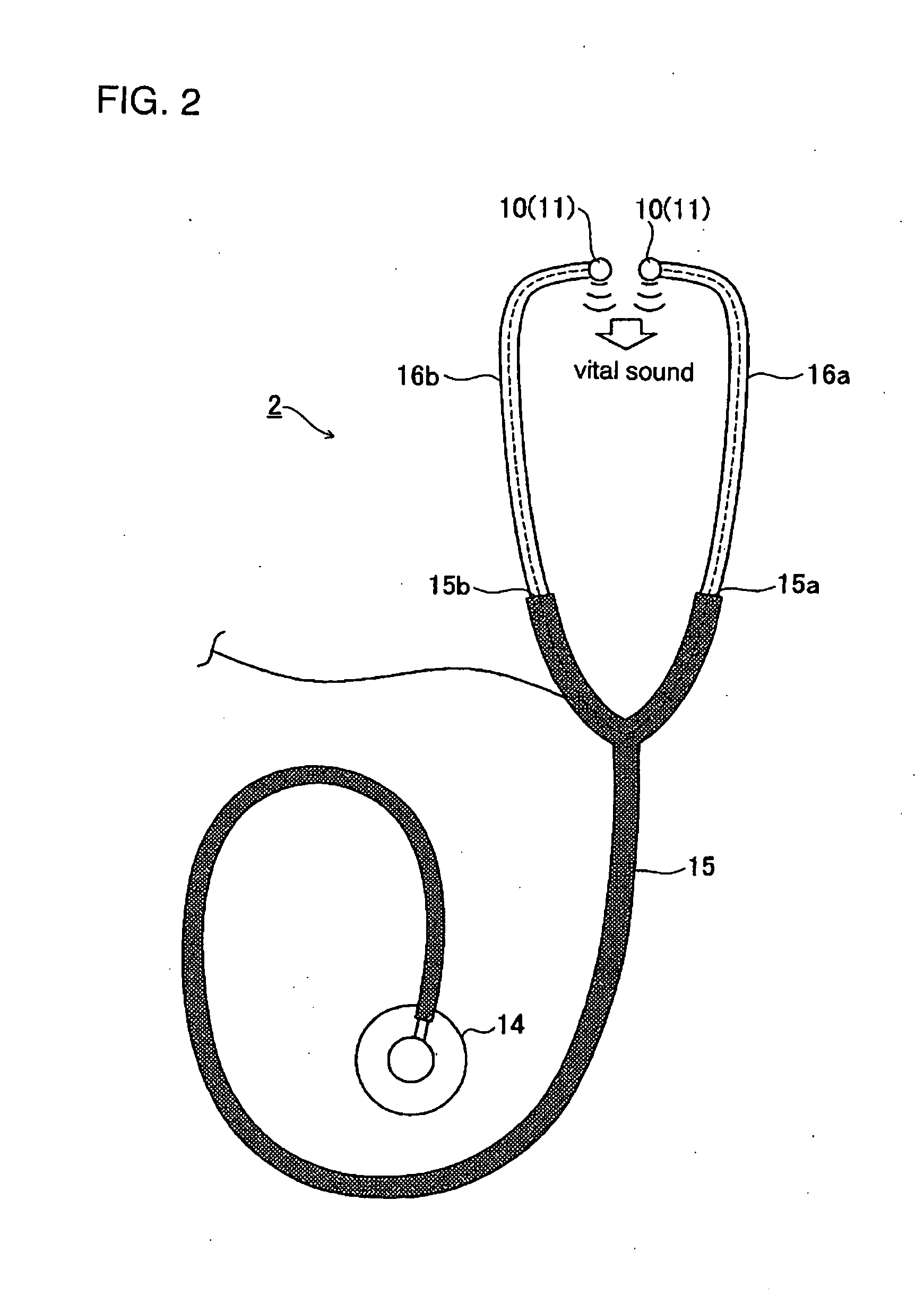 Auscultation training device