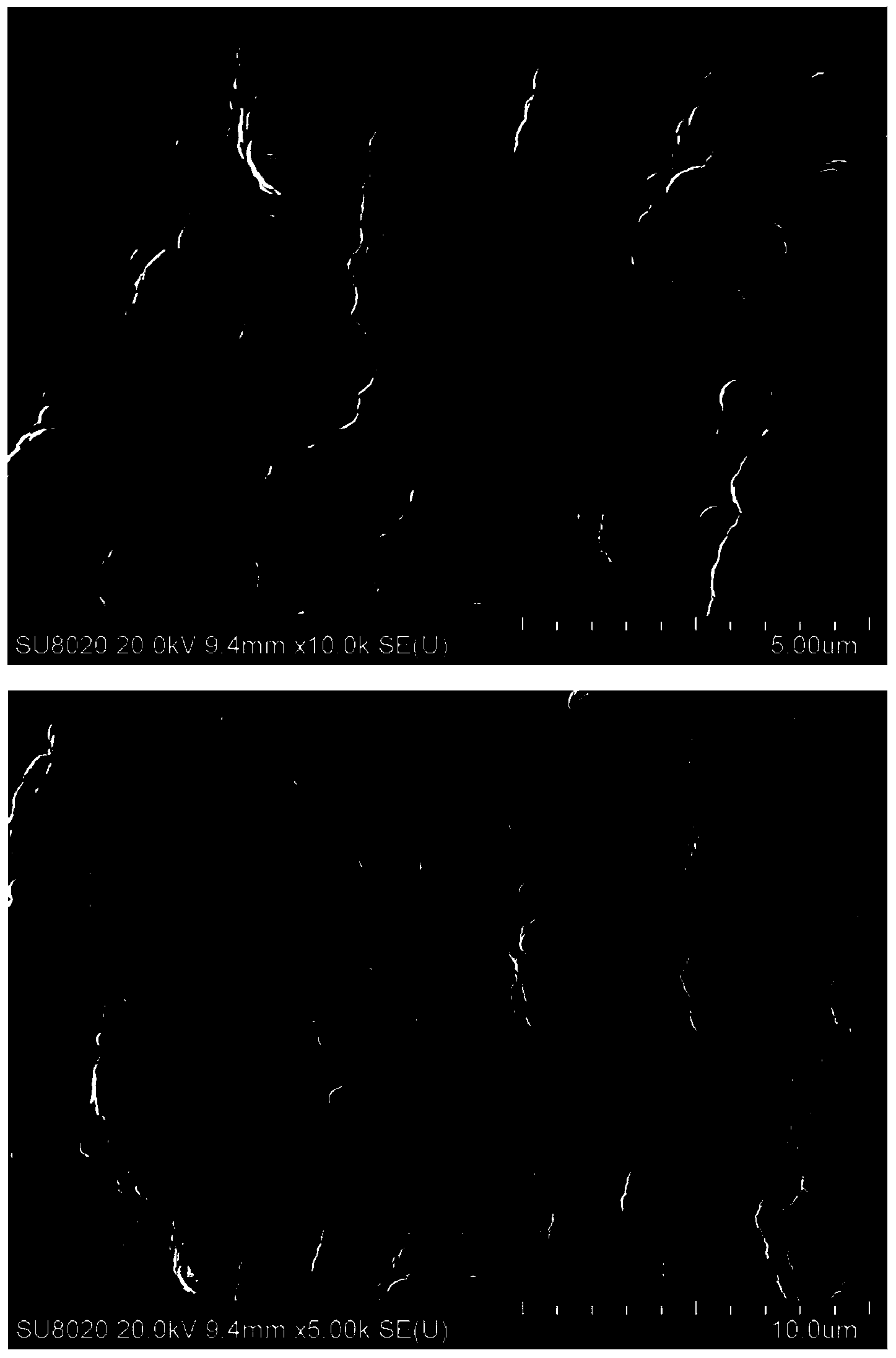 Method for preparing carbon nano-tube modified palladium-loaded electrode through electrophoresis-pulse deposition