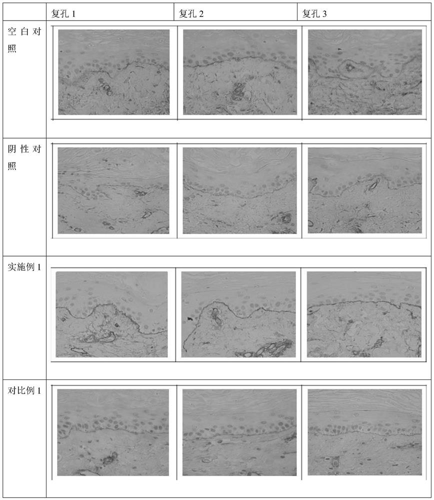 Anti-wrinkle essence and preparation method thereof