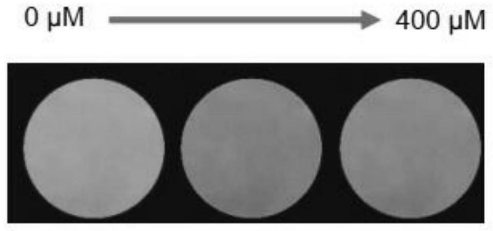 Multifunctional graphene quantum dot detection agent and application thereof