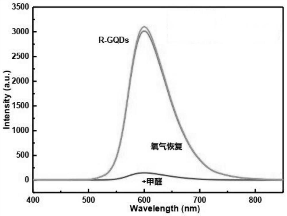 Multifunctional graphene quantum dot detection agent and application thereof