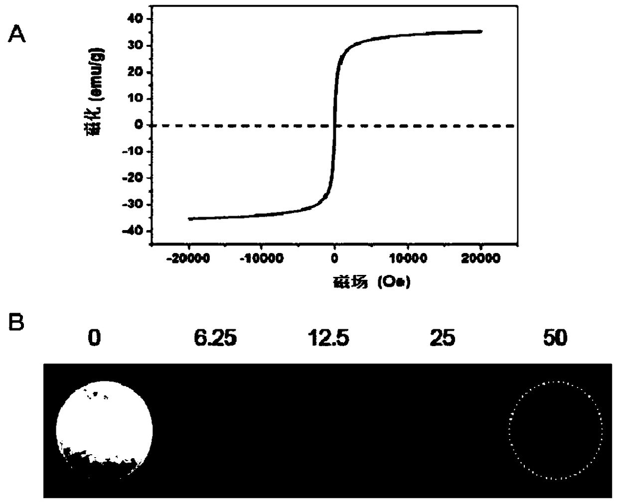 Targeted nano magnetic resonance contrast agent for brain epileptic focus and its preparation and application