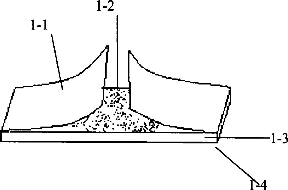 Oral health product using adhesive material as carrier