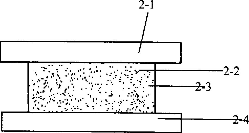 Oral health product using adhesive material as carrier