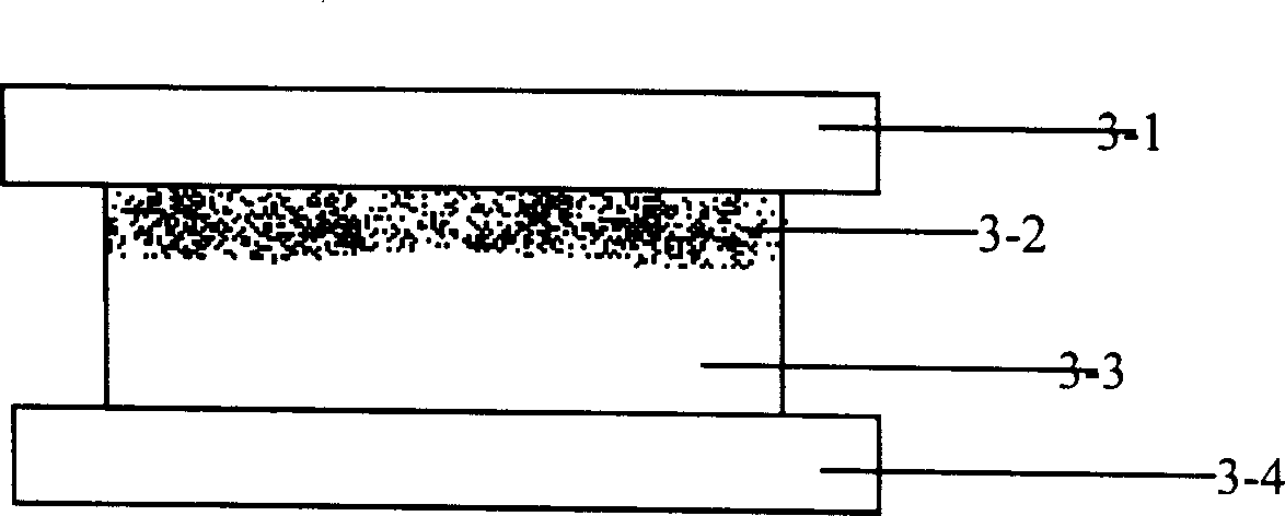 Oral health product using adhesive material as carrier