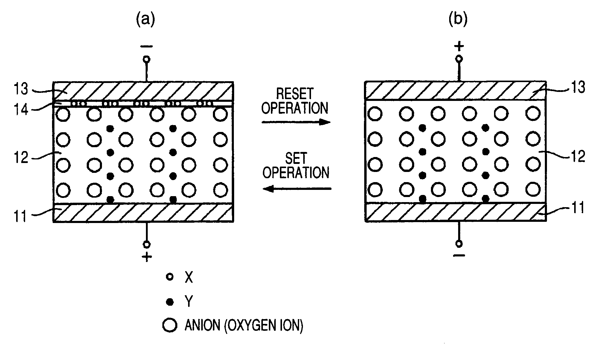 Information recording and reproducing apparatus