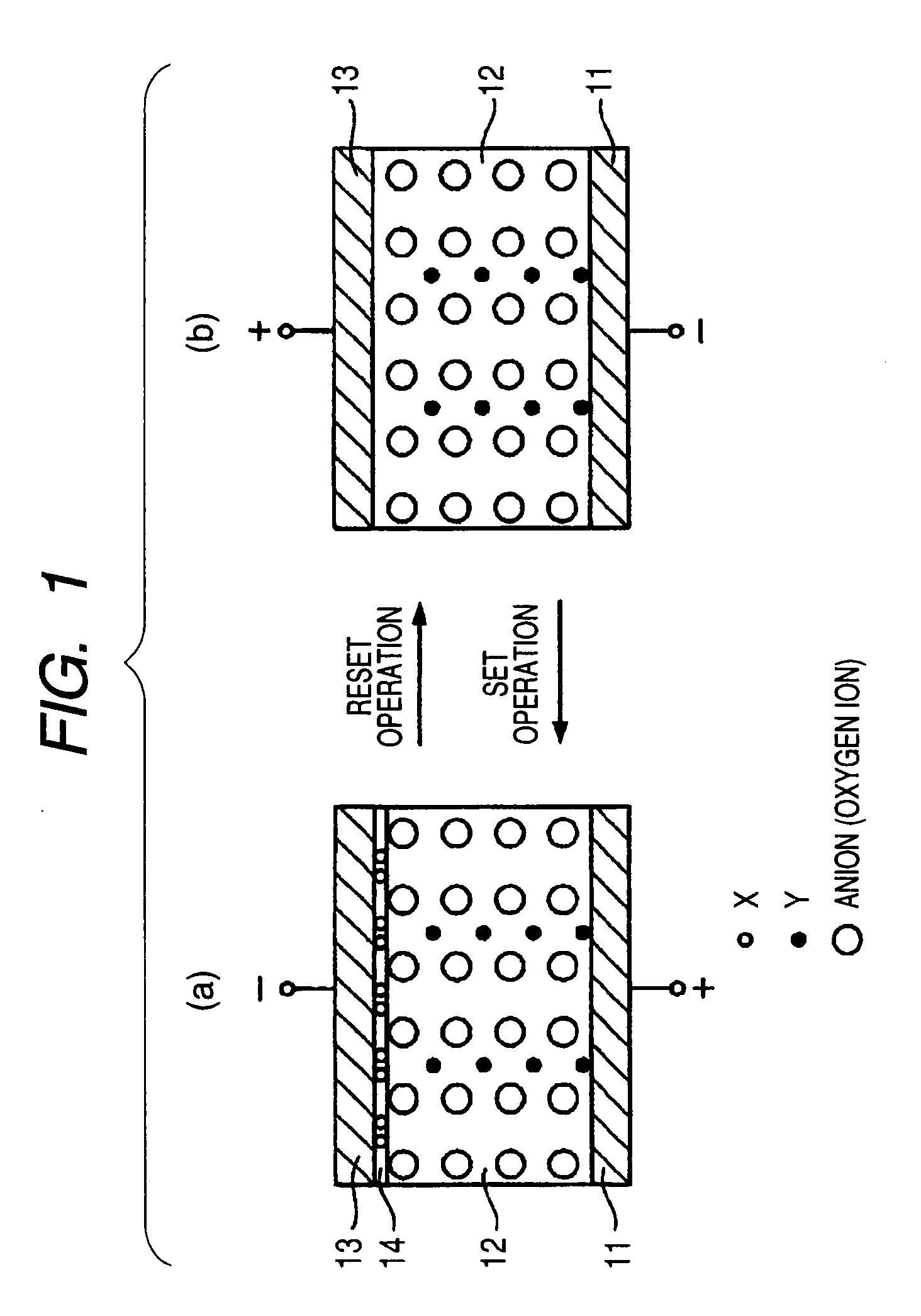 Information recording and reproducing apparatus