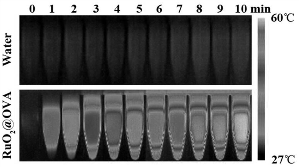 Preparation and application of a ruthenium dioxide composite ovalbumin nanomaterial