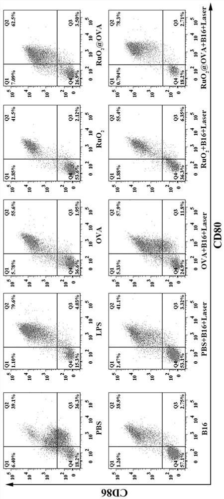 Preparation and application of a ruthenium dioxide composite ovalbumin nanomaterial