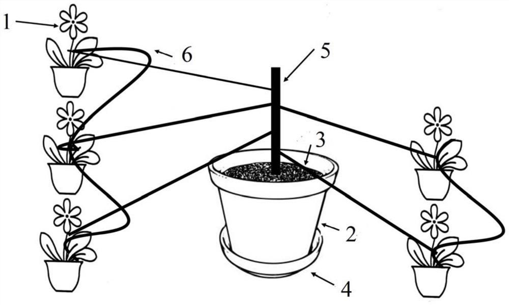 A method for large-scale rearing of aphids using ants and aphids