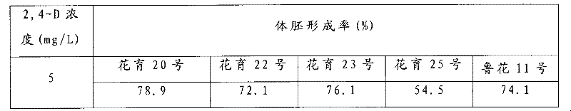 Peanut somatic embryo induction and plant regeneration method