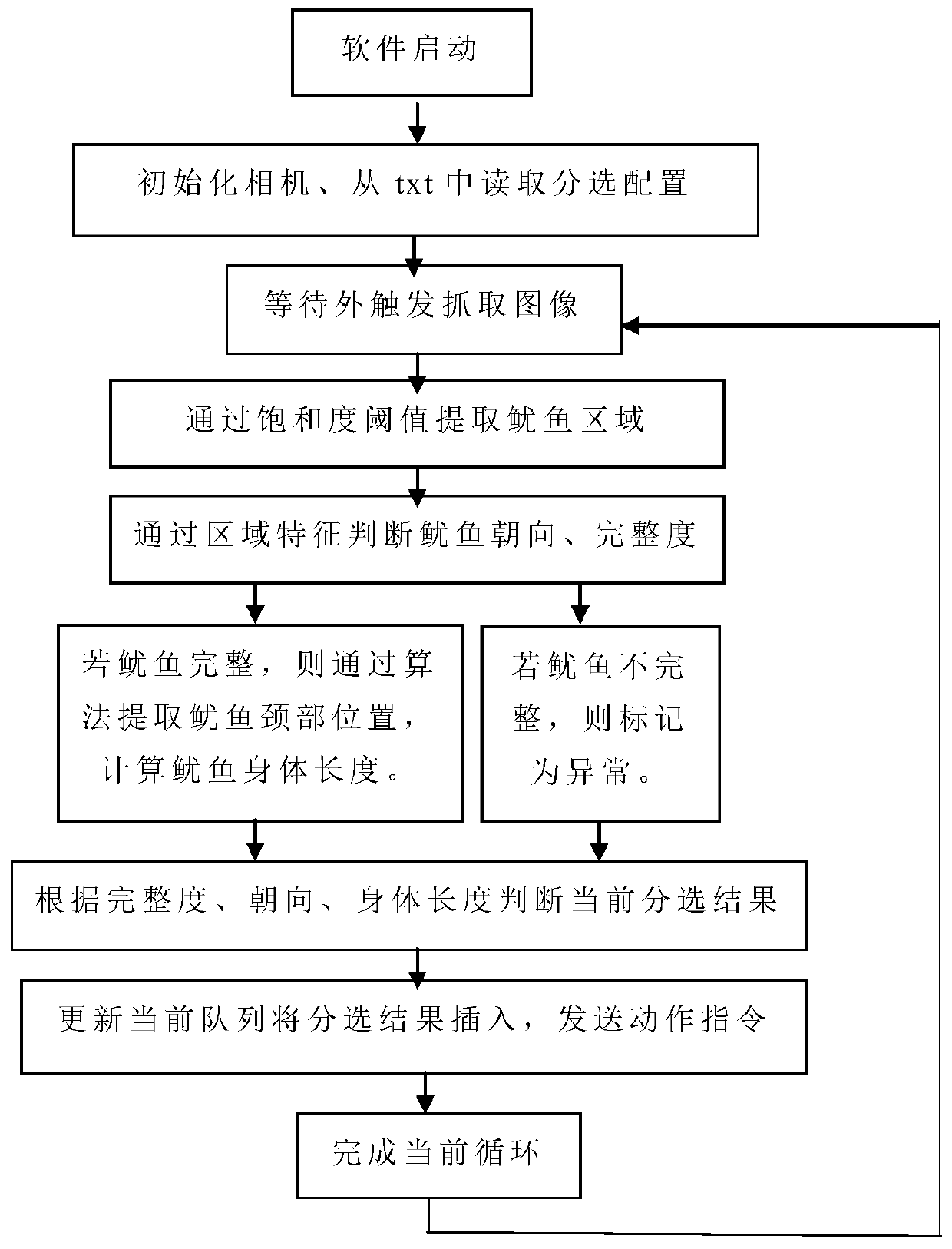 Squid quality grade identifying and sorting method