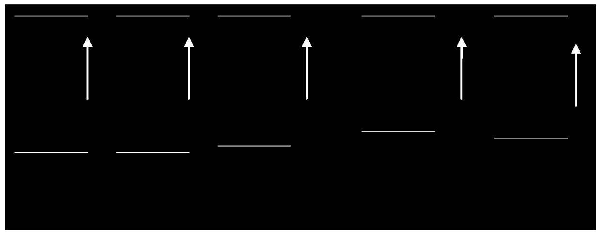 Squid quality grade identifying and sorting method