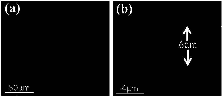 GaN thin film-based miniature flexible ultraviolet detector and fabrication method thereof