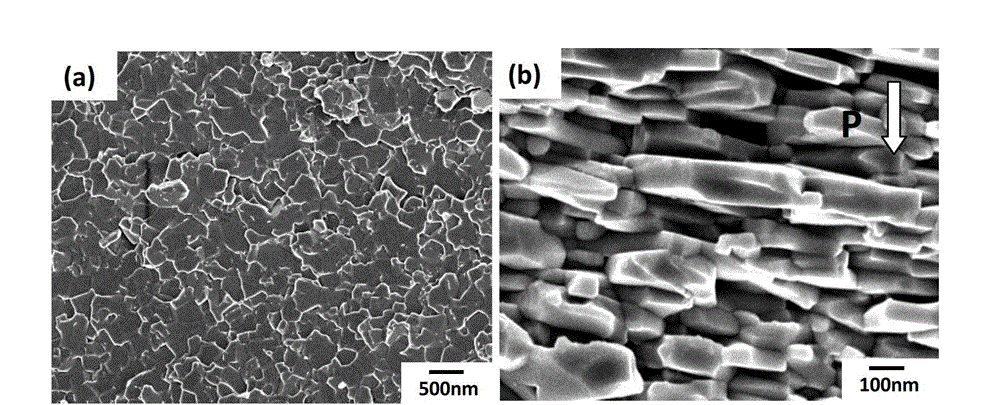 Method for preparing anisotropic neodymium iron boron magnetic powder through directionally breaking thermal deformed magnet